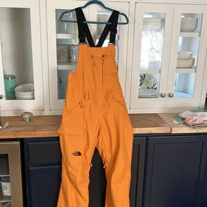 North face W Freedom bib